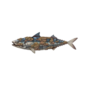 Armored Mackerel