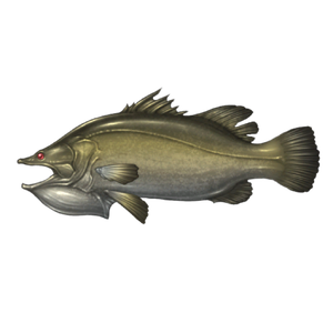 Big-Mouthed Pelican Perch