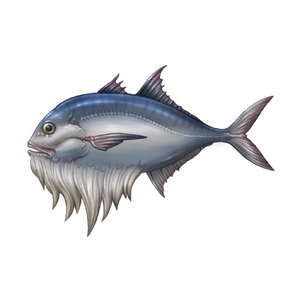 Elder Mackerel