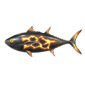 Magma Tuna
