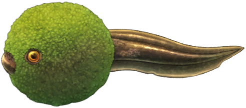 Moss Tadpole
