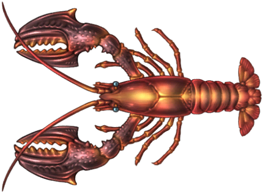Shovel Lobster