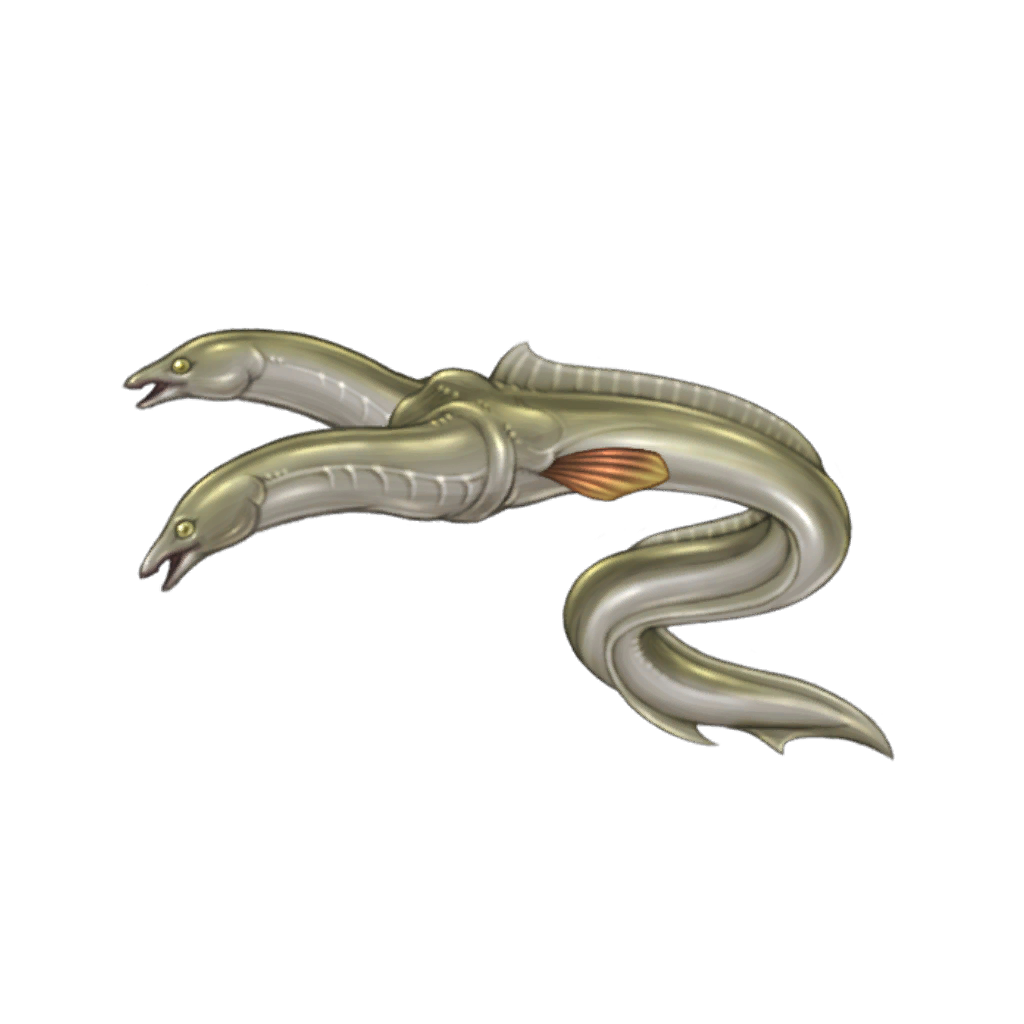 Twinhead Eel
